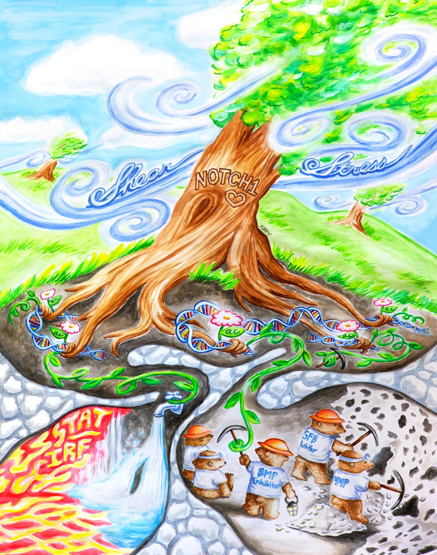 Artistic Rendering of Blood Flow's Protective Qualities in the Heart