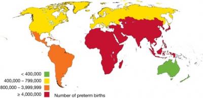 Global Preterm Births