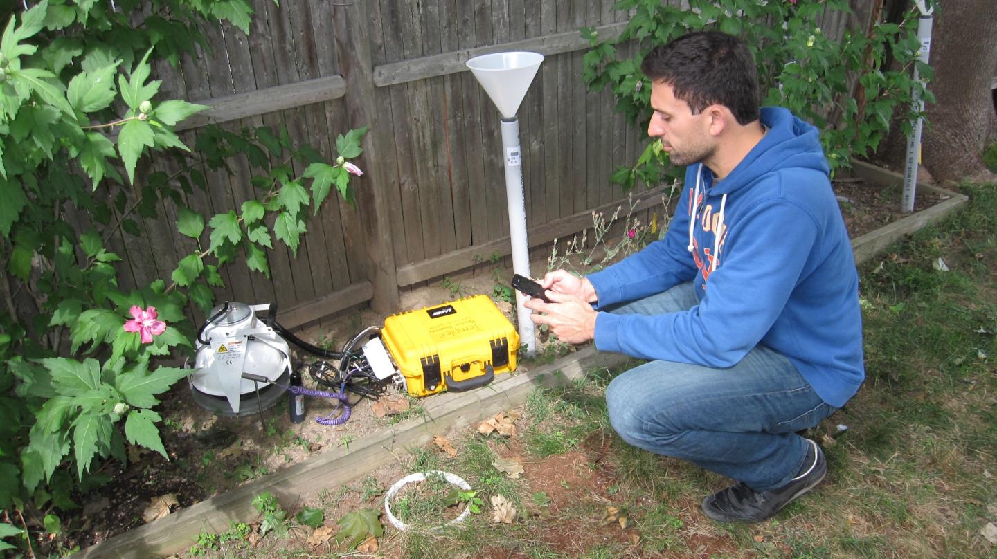 Stephen Decina, Boston University