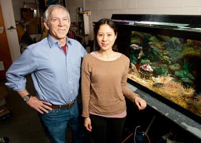 Rhanor Gillette and Keiko Hirayama, University of Illinois at Urbana-Champaign