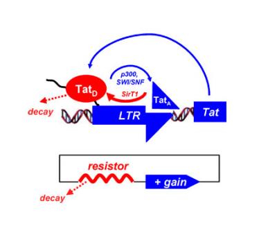 HIV Tat Feedback Resistor