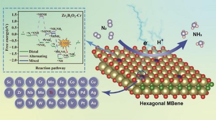 Hexagonal MBenes-supported single atom catalysts for nitrogen reduction to ammonia