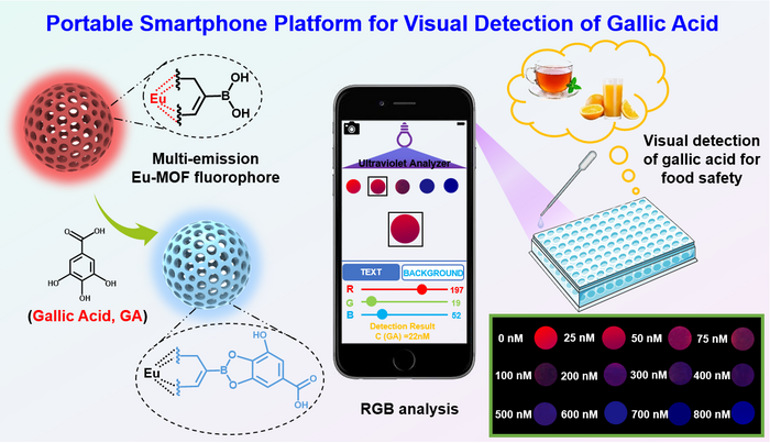 Novel Fluorescence Sensing Platform Developed for Visual Monitoring of Food Safety