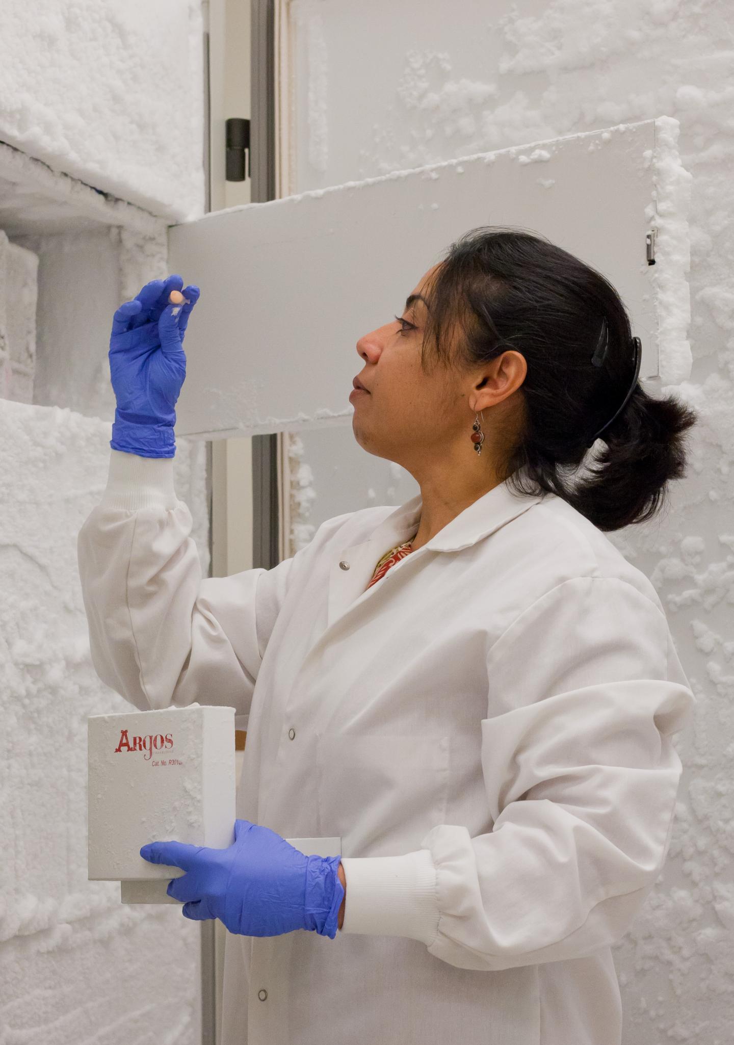 George Mason University science researcher and associate professor, Aarthi Narayanan