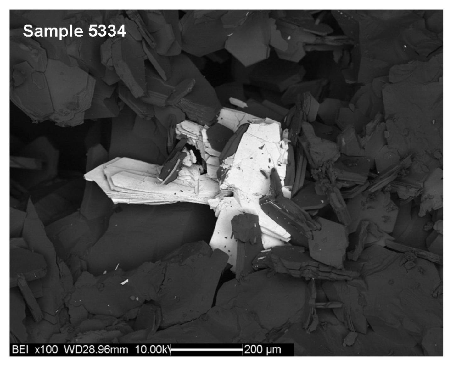 Sardinian Ichnusaite