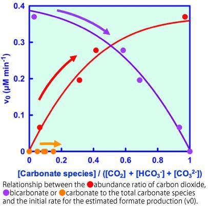 Relationship between the Abundance Ratio of Carbon Dioxide, Bicarbonate or Carbonate