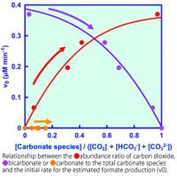 Relationship between the Abundance Ratio of Carbon Dioxide, Bicarbonate or Carbonate