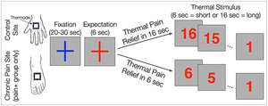 HIV Neuropathic Pain Graphic