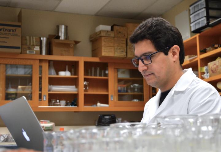 Lynn Soreghan, University of Oklahoma