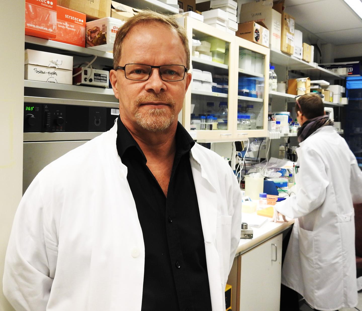 Phage Treatment Was Effective in Both Food and Kitchenware