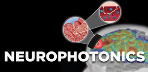 SPIE journal Neurophotonics publishes comprehensive status report on optical imaging methods for brain science