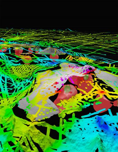 Hawaiian Islands Gravity Anomaly