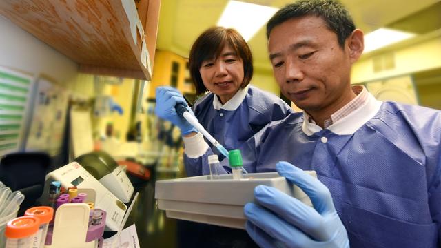 Dr. Haidong Zhu and Dr. Yanbhin Dong, Augusta University