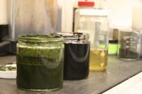 From Algae to Fuel (1 of 2)