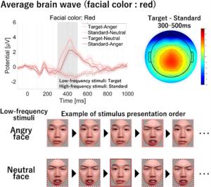 P3 amplitude when a red angry face was a low-frequency stimulus was higher than the P3 amplitude when a red neutral face was a low-frequency stimulus.