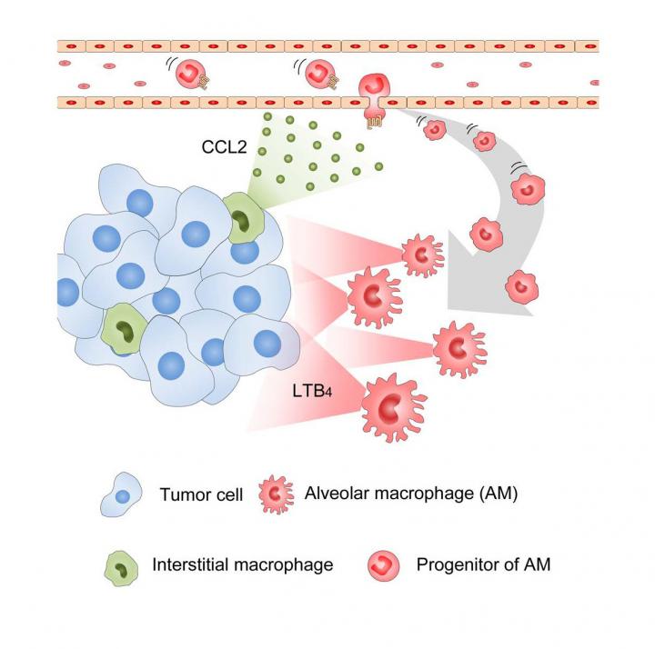 Schematic Representation