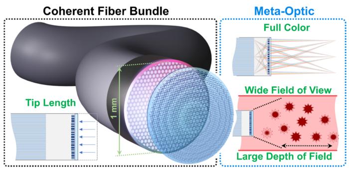 Schematic illustration of the meta-optical fiber endoscope (MOFIE).