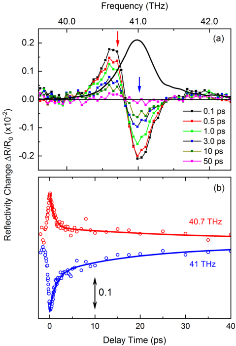 Stationary reflectivity spectrum