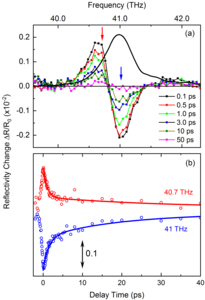 Ultrafast and coupled: Atomic vibrations in the quantum material boron  nitride