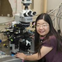 Yuyu Song at the Marine Biological Laboratory