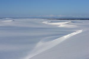 Great Kobuk Sand Dunes