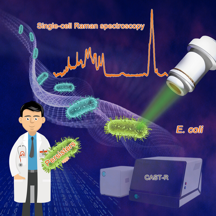 Raman spectroscopy identifies E. coli persisters at single-cell level.