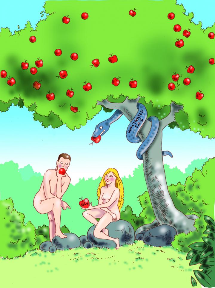 Adam and Eve are Tempted by Forbidden Fruit