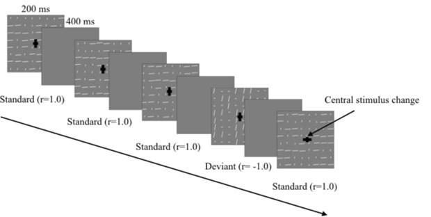 Sample of stimuli sequence in the experiment