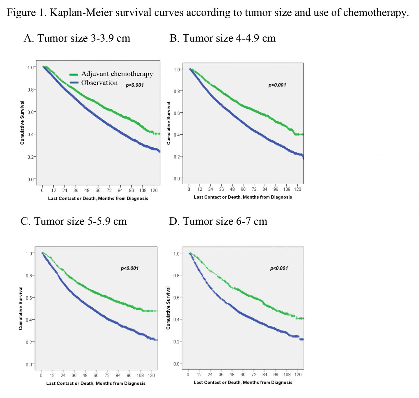 Kaplan-Meier Survival Curves
