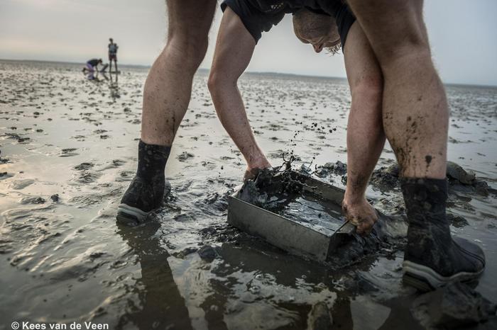 Sieving one of the nearly 5,000 soils samples taken with SIBES on the intertidal mudflats of the Dutch Wadden Sea.