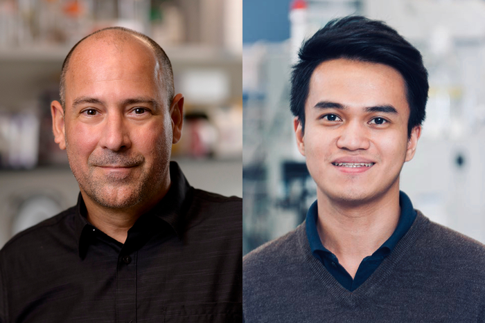 Sloan Kettering Institute scientists Christopher Lima and Rhyan Puno