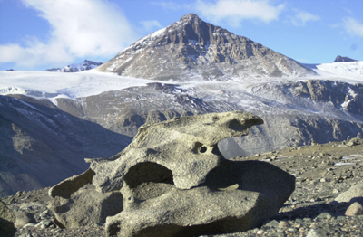 Antarctic Rocks