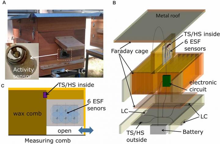 Experimental setup