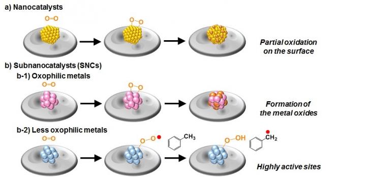 Mechanism behind the Superior Catalytic Activity of SNCs