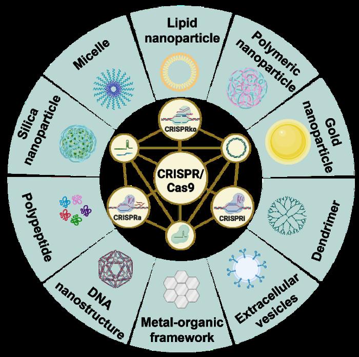 Schematic of the CRISPR/Cas9 system and its nanotechnology delivery methods