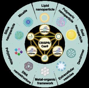 Schematic of the CRISPR/Cas9 system and its nanotechnology delivery methods