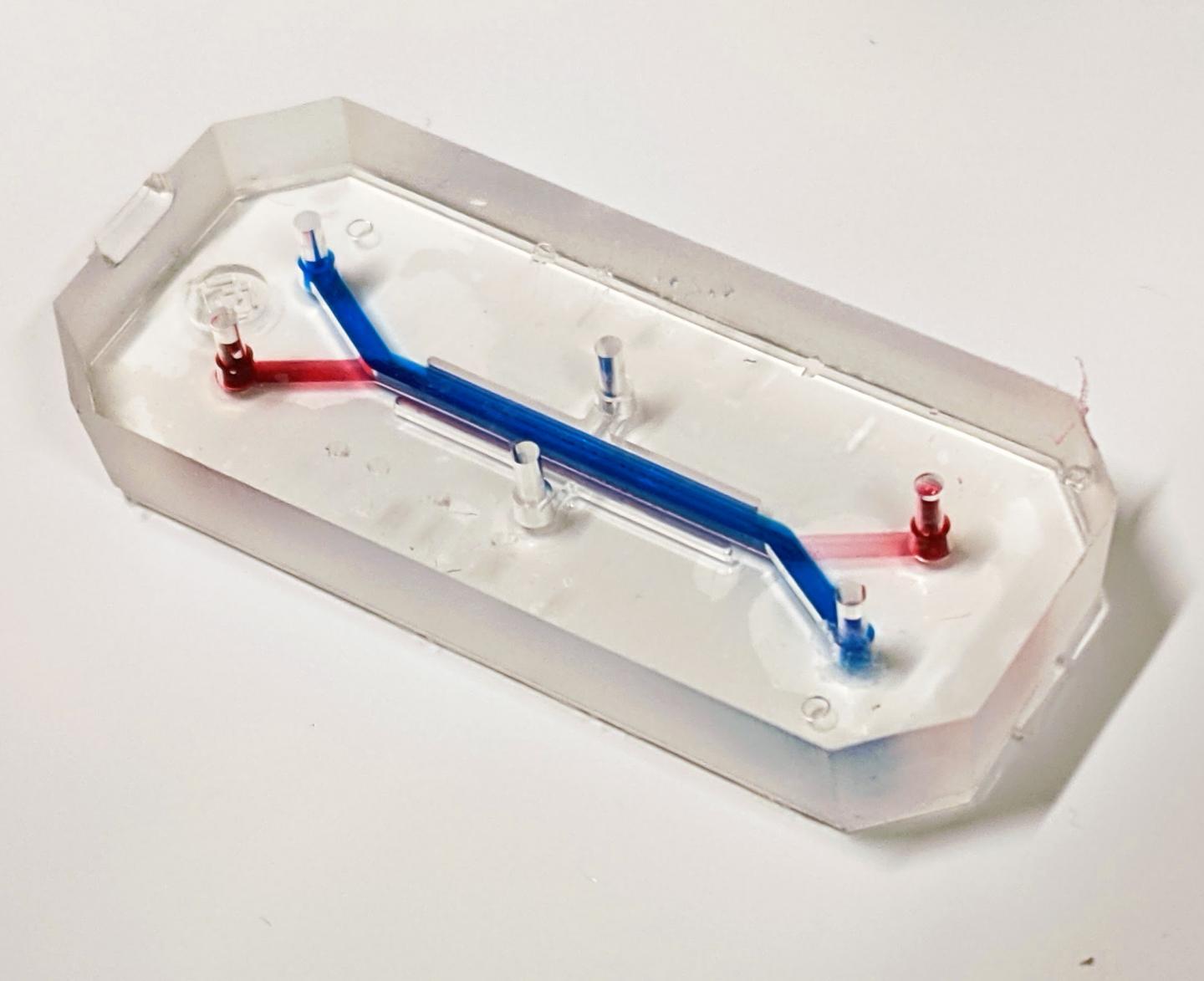 Lung-on-chip model