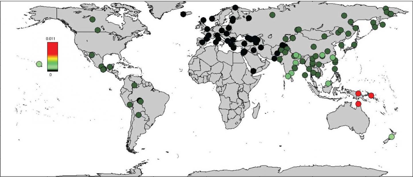 Variation in Denisovan Ancestry Proportion