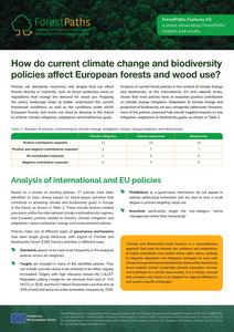 First page of ForestPaths Feature #3: How do current climate change and biodiversity policies affect European forests and wood use?