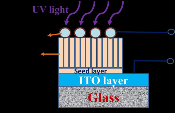 Schematic Diagram of Ag/ZnO-NR Schottky UV-PDs