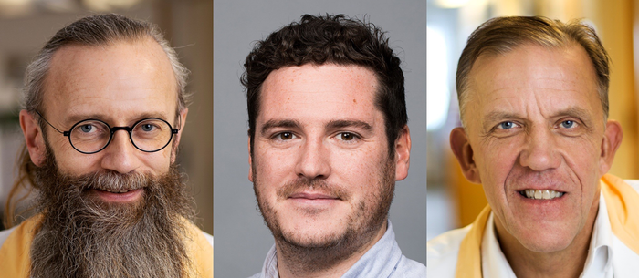 Zetterberg, Ashton and Blennow