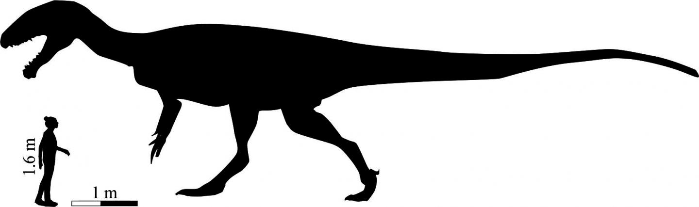 Silhouette of the Enormous Carnivorous Dinosaur