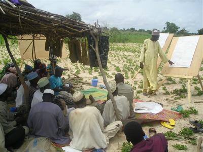 Development Aid Via Cell Phone Animations