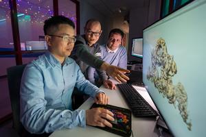 Structures of Parkinson’s disease-linked proteins offer a framework for understanding how they work together