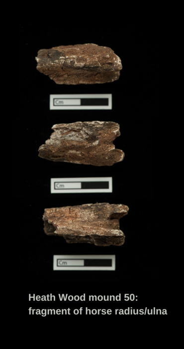 Sr analyses from only known Scandinavian cremation cemetery in Britain illuminate early Viking journey with horse and dog across the North Sea