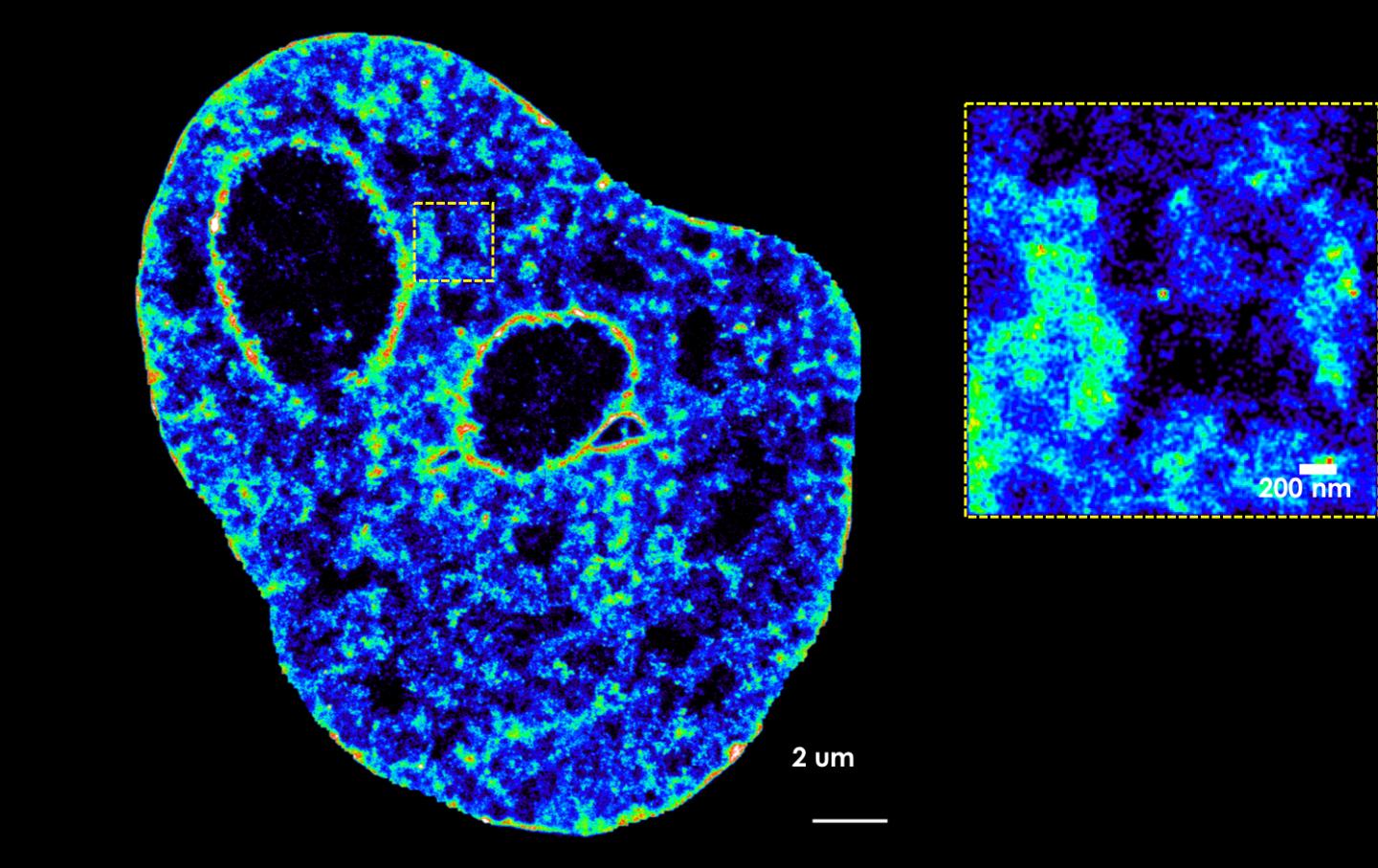 Example of DNA pictured by state-of-the-art microscopy