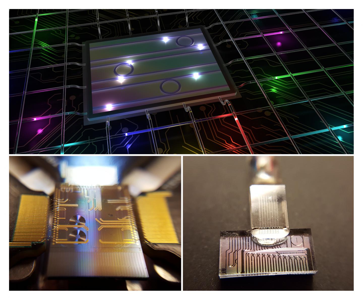 High-Dimensional Color-Entangled Photon States from a Photonic Chip