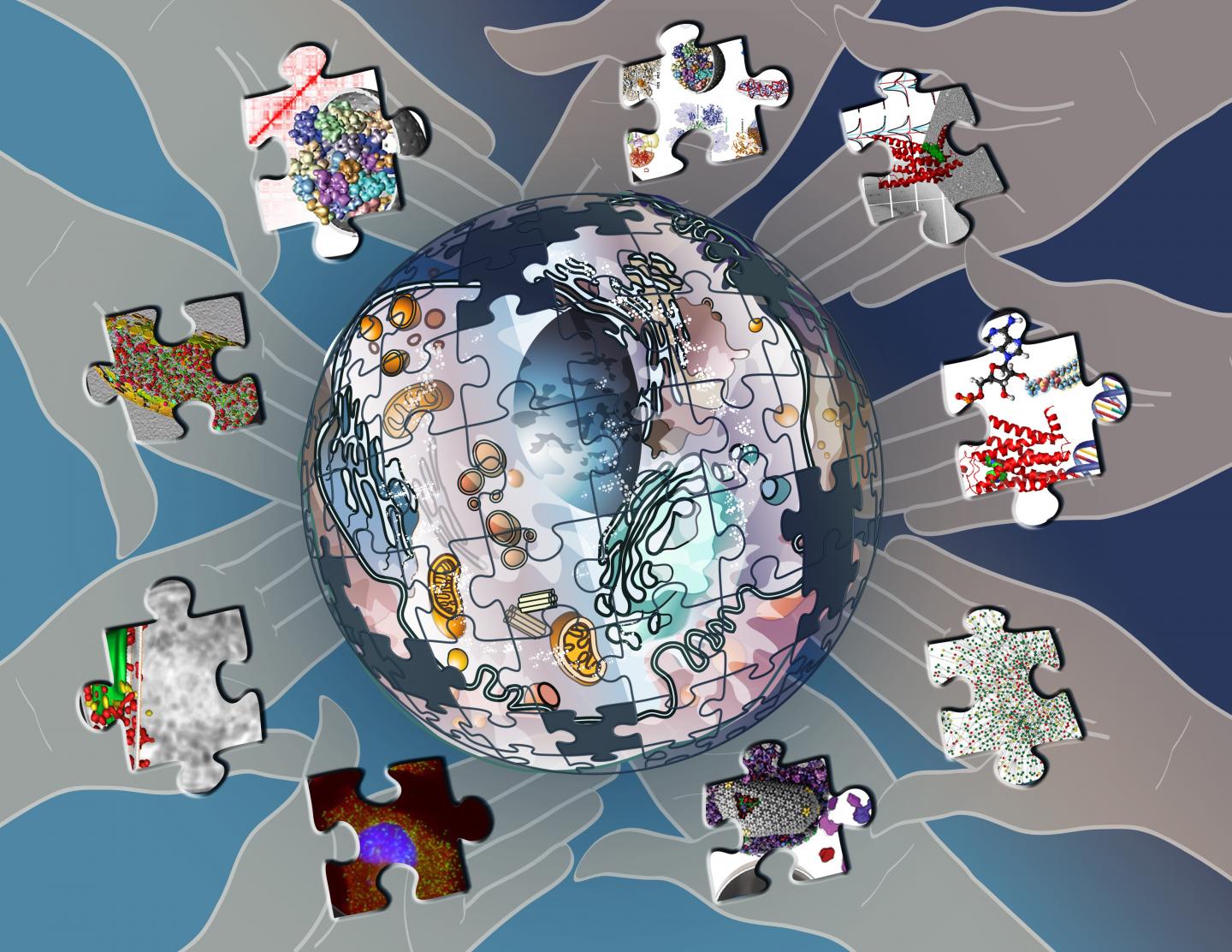 A Whole New World: The Pancreatic Beta Cell