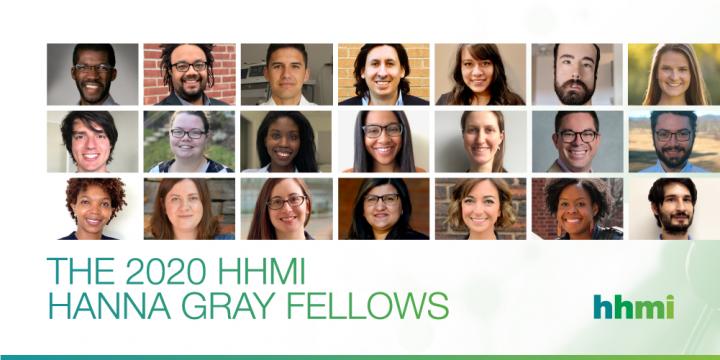 2020 Hanna Gray Fellows