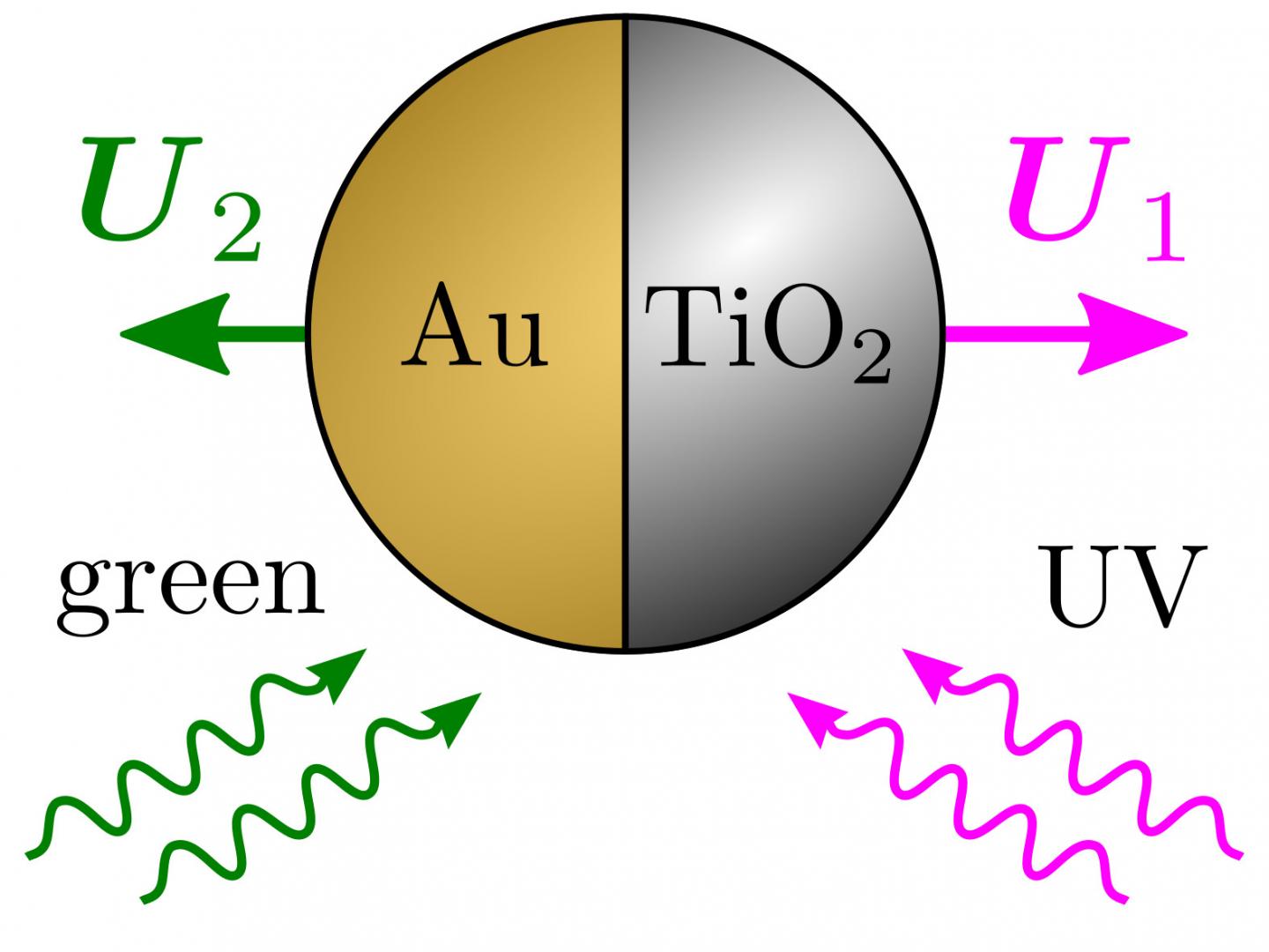 New active particle